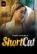 ShortCut (Part 1) Voovi Hot Web Series