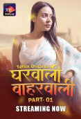 Gharwali Baharwali (E01-E02) TeFlix Hot Web Series