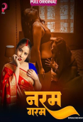 Naram Garam (E01-E04) Pull Hot Web Series