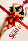 Seal 6 (E01-E03) PrimeShots Hot Web Series