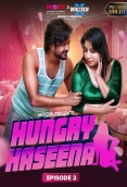 Hungry Haseena (E03) MoodX Hot Web Series