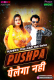 Pushpa Pelega Nahi (E01) MoodX Hot Web Series