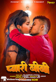 Pyari Biwi Fukrey Uncut Short Film (2024)