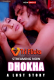 Dhokha : A Lust Story (E03) Triflicks Hot Web Series
